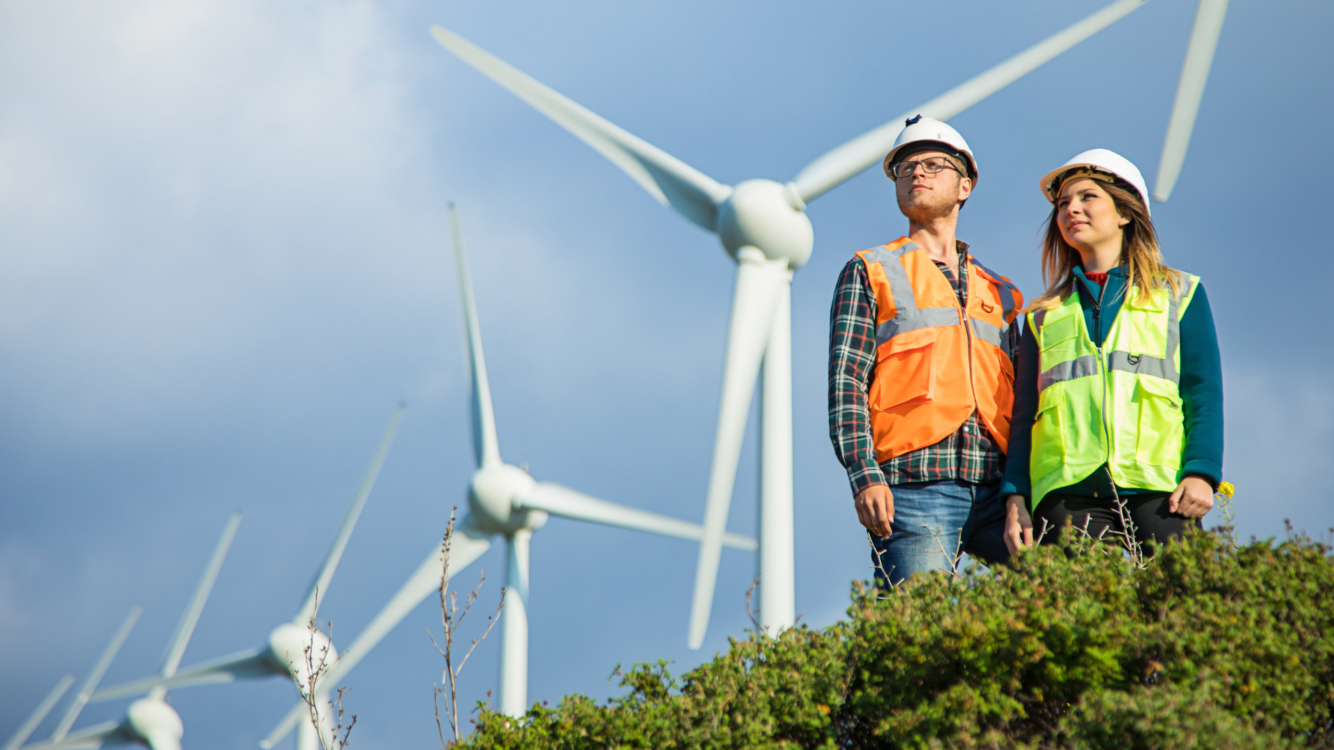 Top Skills in Demand for Green Energy Jobs 2024