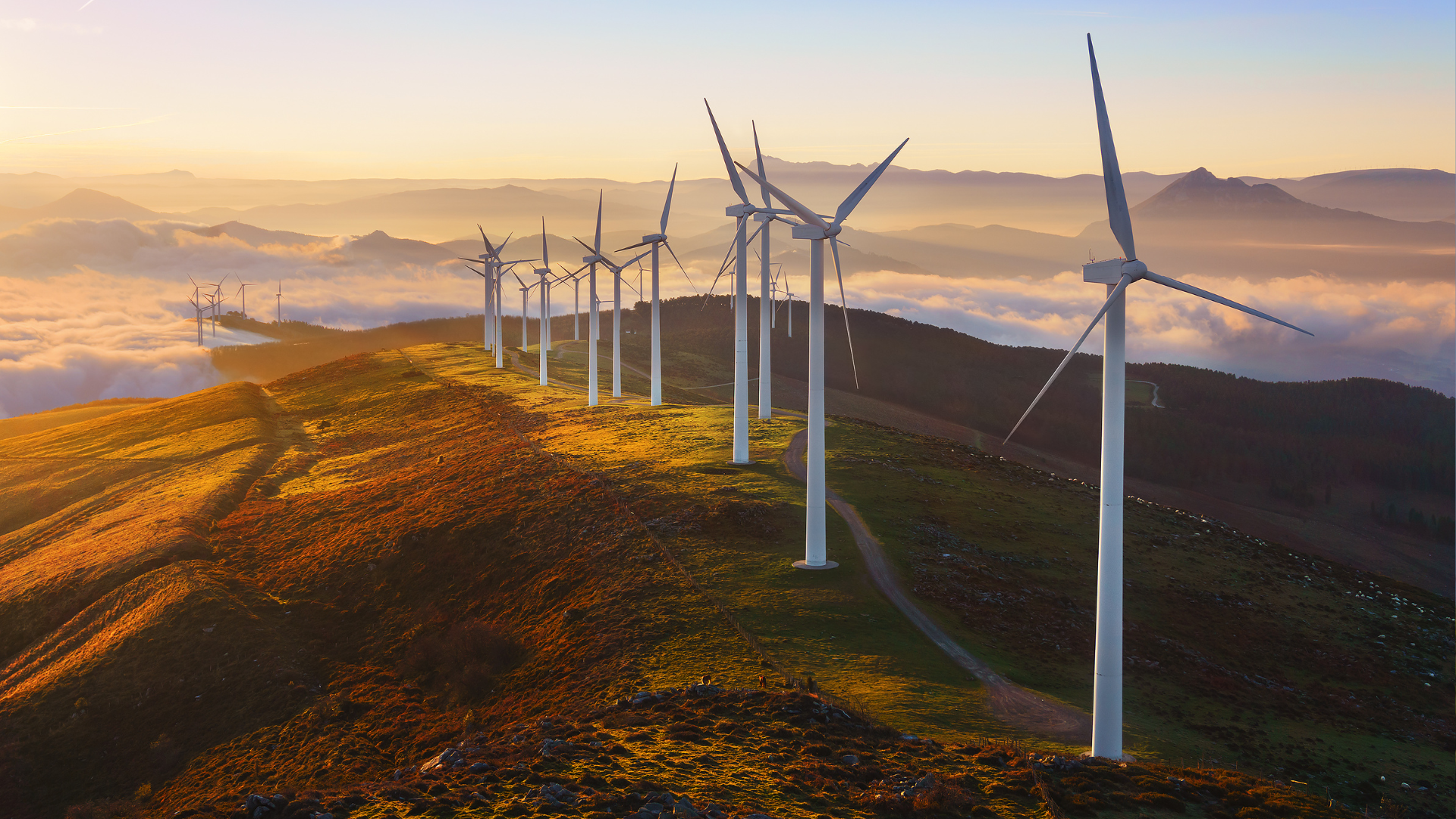 Innovations in Wind Turbine Technology: A summary of developments in 2024.